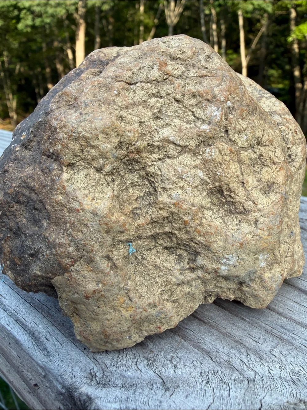 Large Quartz Geode